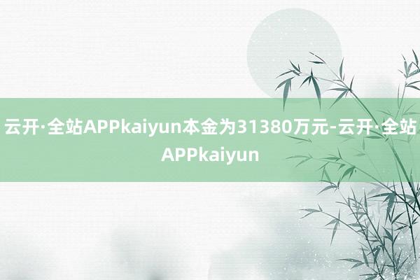 云开·全站APPkaiyun本金为31380万元-云开·全站APPkaiyun