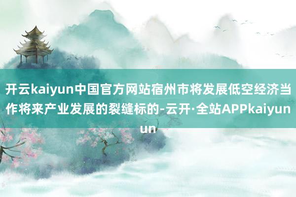 开云kaiyun中国官方网站宿州市将发展低空经济当作将来产业发展的裂缝标的-云开·全站APPkaiyun