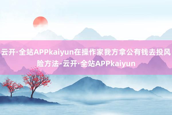 云开·全站APPkaiyun在操作家我方拿公有钱去投风险方法-云开·全站APPkaiyun