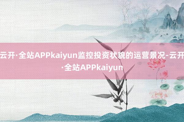 云开·全站APPkaiyun监控投资状貌的运营景况-云开·全站APPkaiyun