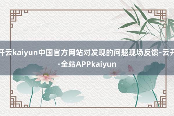 开云kaiyun中国官方网站对发现的问题现场反馈-云开·全站APPkaiyun