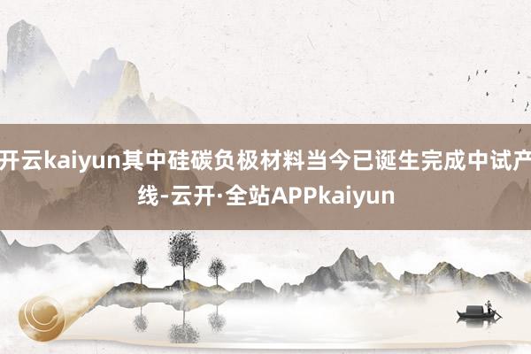 开云kaiyun其中硅碳负极材料当今已诞生完成中试产线-云开·全站APPkaiyun