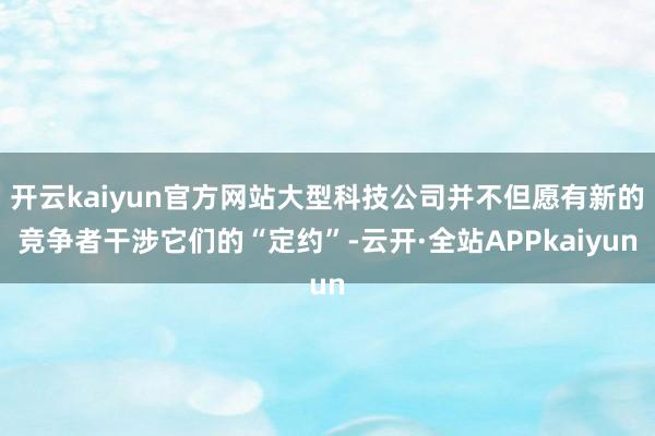 开云kaiyun官方网站大型科技公司并不但愿有新的竞争者干涉它们的“定约”-云开·全站APPkaiyun