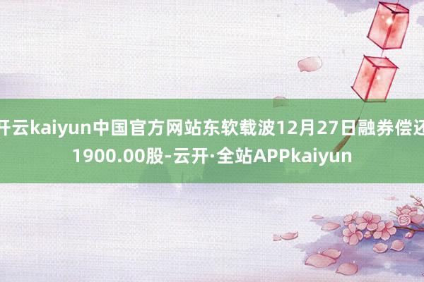 开云kaiyun中国官方网站东软载波12月27日融券偿还1900.00股-云开·全站APPkaiyun