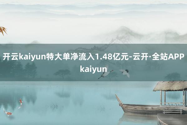 开云kaiyun特大单净流入1.48亿元-云开·全站APPkaiyun