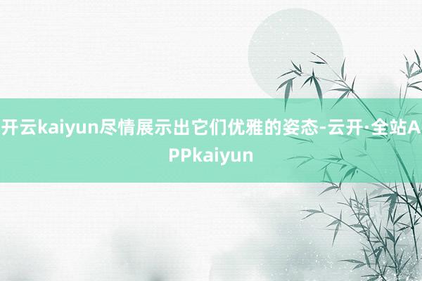 开云kaiyun尽情展示出它们优雅的姿态-云开·全站APPkaiyun