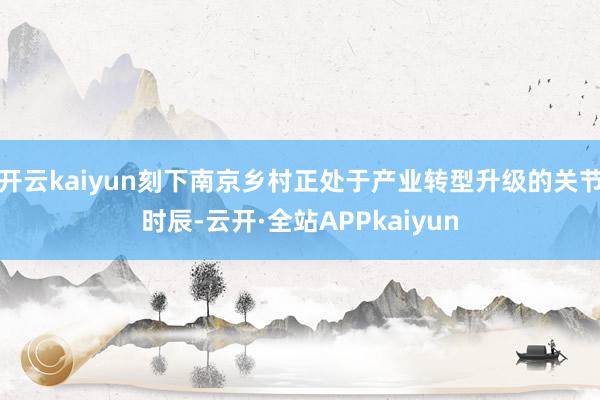 开云kaiyun刻下南京乡村正处于产业转型升级的关节时辰-云开·全站APPkaiyun