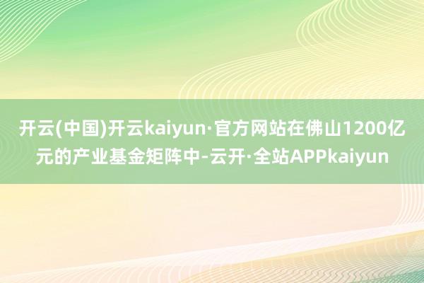 开云(中国)开云kaiyun·官方网站在佛山1200亿元的产业基金矩阵中-云开·全站APPkaiyun