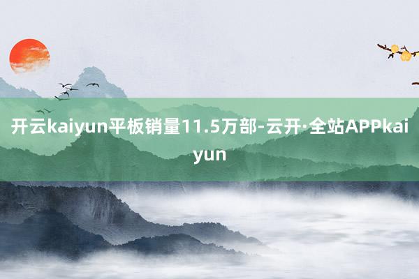开云kaiyun平板销量11.5万部-云开·全站APPkaiyun