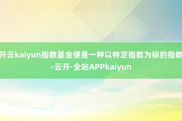 开云kaiyun指数基金便是一种以特定指数为标的指数-云开·全站APPkaiyun