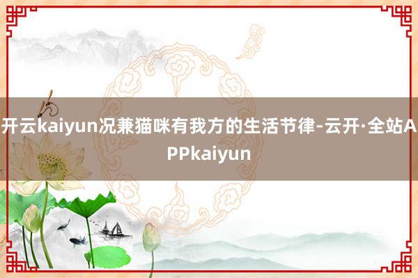 开云kaiyun况兼猫咪有我方的生活节律-云开·全站APPkaiyun