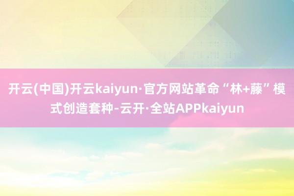 开云(中国)开云kaiyun·官方网站革命“林+藤”模式创造套种-云开·全站APPkaiyun