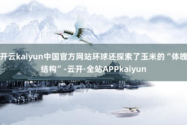 开云kaiyun中国官方网站环球还探索了玉米的“体魄结构”-云开·全站APPkaiyun