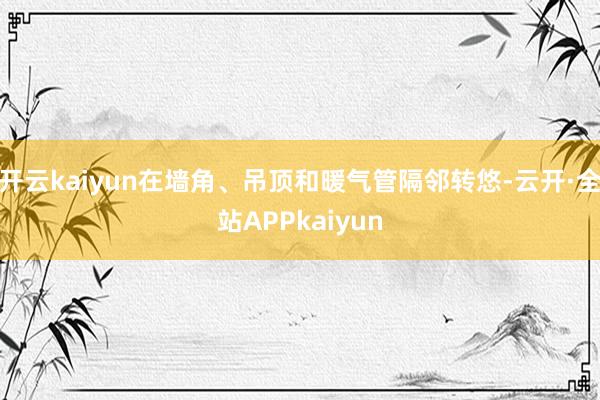 开云kaiyun在墙角、吊顶和暖气管隔邻转悠-云开·全站APPkaiyun