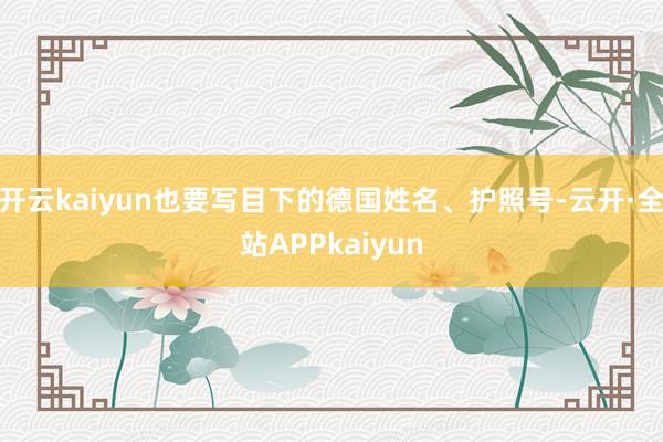 开云kaiyun也要写目下的德国姓名、护照号-云开·全站APPkaiyun